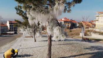 (Özel) Buz Tutan Ağaçlar İlginç Görüntüler Oluşturdu
