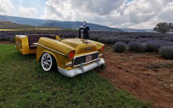 (Özel) Dinar’Dan Geçerken Bu Tarlalara Muhakkak Uğrayacaksınız
