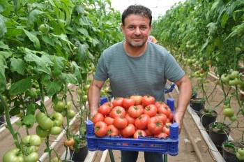 (Özel) Eynal Domatesine Coğrafi İşaret Başvurusu
