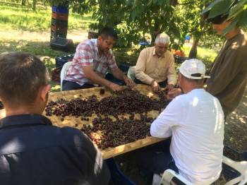 (Özel) Hasadın Tek Eğlencesi Radyo Dinlemek
