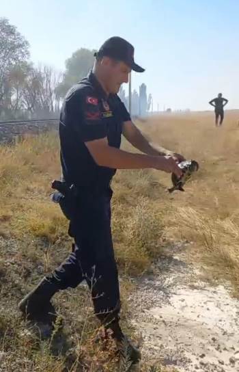 (Özel) Jandarmanın Hayvan Sevgisi Görenlerin İçini Isıttı
