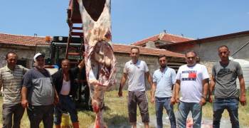 (Özel) Köy Halkından Herkese Örnek Olacak Kurban Kesimi
