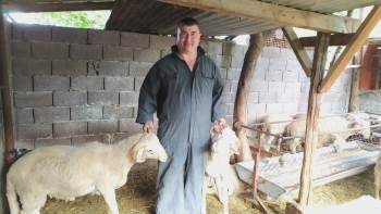 (Özel) Kütahyalı Besici Hayvan Yemini Kendisi Üretiyor
