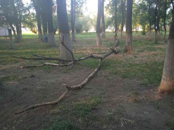 (Özel) Mangal Keyfi Az Kalsın Faciaya Dönüyordu
