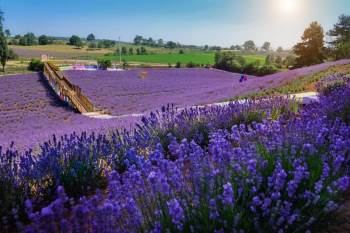 (Özel) Muhteşem Manzarasıyla Görenleri Mest Ediyor
