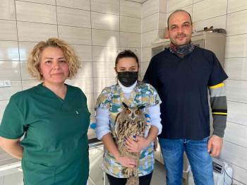 (Özel) Ne Yazık Ki Uçamayabilir
