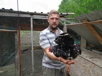 (Özel) Pandemide İş Yerini Kapatan Genç Artık Süs Tavuğu Yetiştiriyor
