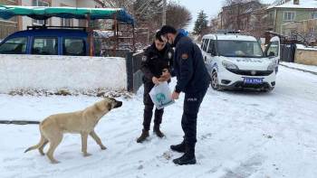 (Özel) Polis Hem Devriye Gezdi Hem De Sokak Hayvanlarını Beslediler
