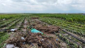 (Özel) Sel Baskınındaki Azgın Sular Böyle Görüntülendi
