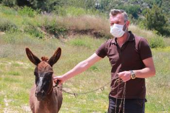 (Özel) Tedavisi Tamamlanan ’Kadife’ Yeni Sahibini Bekliyor
