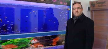 (Özel) Tropikal İklim Balıkları Jeotermal Kaynak Su İle Yetiştirilecek
