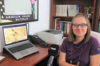 (Özel) Türkiye’De İlk Kez Arıların Davranışı Araştırıldı
