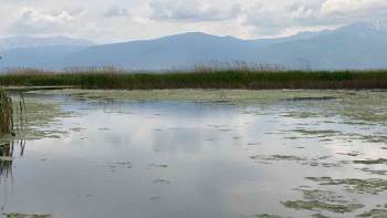 (Özel) Yağışlar Eber Gölü’Ne Adeta Can Suyu Oldu
