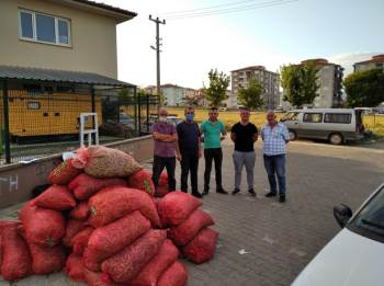"Pazarcık Boncuğu" İstanbul’A Gitmeye Başladı
