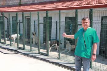 "Petshop’Lardan Hayvan Satın Almayın, Sahiplenin" Uyarısı
