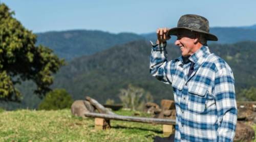 ​Salma Zammı Nedir?