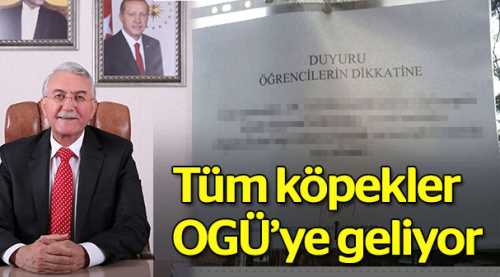 "Tüm köpekler OGÜ'ye geliyor"
