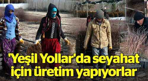 'Yeşil Yollar'da seyahat için çalışıyorlar