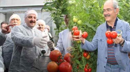 "Yılmaz Hoca elinde bir domates tuttu, herkes..."