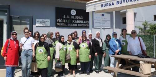 'Yukarı Sakarya Havzası'nda Arazi Tahribatını Dengeleme Projesi' devam ediyor