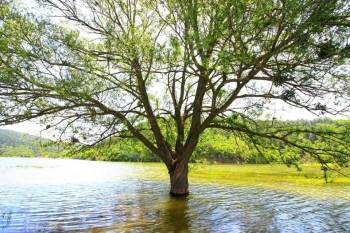 1 Milyon 500 Bin Lira Hibe Desteği
