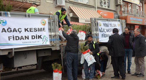 10 bin ücretsiz fidan dağıtıldı