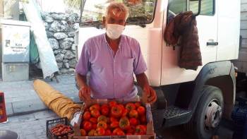 100 Yıllık Ata Tohumu İle Yerli Domates Üretiyor
