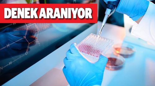 1000 TL ARTI SİGORTA