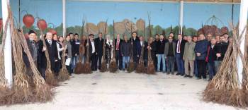 11 Bin Adet Ceviz Fidanı Dağıtıldı
