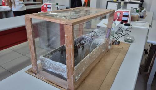 11 yaşındaki mucitten tarıma çevreci çözüm: Akıllı sera sistemi