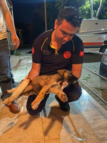 112 Acil Servis Ekipleri Bu Sefer De Bir Köpeğin Hayatını Kurtardı
