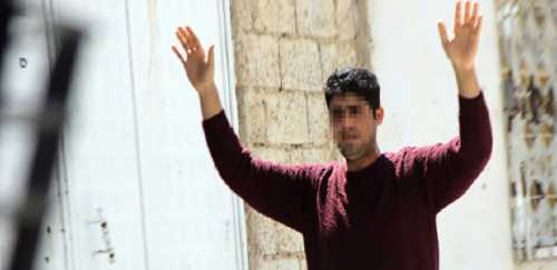 12 TERÖRİST TESLİM OLDU