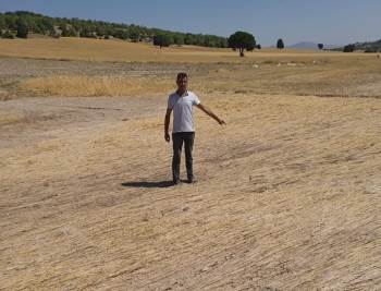 120 Üretici Dolu Yağışı Ve Selden Zarar Gören 8 Bin Dekar Arazileri İçin Destek Bekliyor
