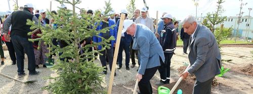 13 bin 500 adet ağaç diktik