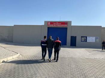 13 Yıl Hapis Cezası İle Aranan Şahsı Jandarma Yakalandı
