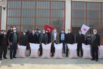 147 Üreticiye Yulaf Tohumu Dağıtıldı
