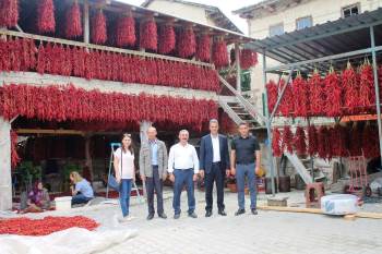 150 Yıldır Aynı Tohumdan Acı Kırmızı Biber Üretip Kurutuyorlar
