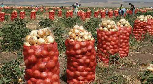 16 ton soğanla sırra kadem bastı