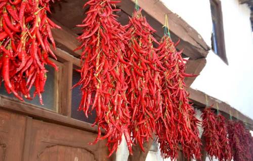 160 yıldır değişmeyen "kırmızı altın" Türkiye'nin sofrasında