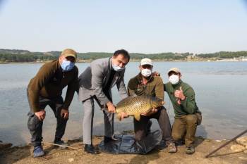 17 Kiloluk Dev Sazan Balığını Belediye Başkanı Şahin Gölete Bıraktı
