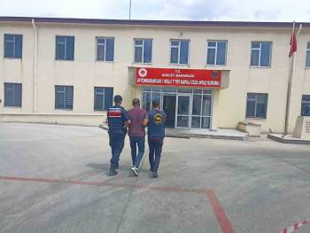 17 Yıl 13 Ay Hapis Cezası İle Aranan Şahsı Jandarma Yakaladı
