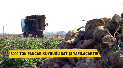 18000 Ton Pancar Kuyruğu Satışı Yapılacaktır