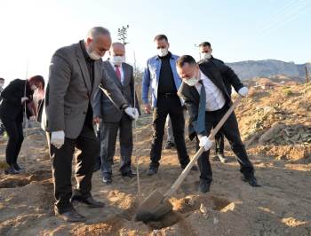 19. Yüzyılda Halkın Temel Geçim Kaynaklarından İpekböcekçiliği Canlandırılması Çalışmaları
