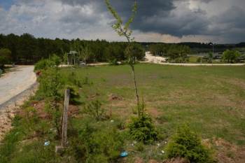 2 Bin 500 Fidan Ve Binlerce Süs Bitkisi Toprakla Buluştu
