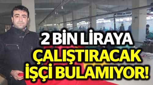 2 bin liraya çalışacak işçi bulamıyor