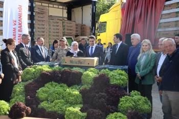 2 Milyon 900 Bin Marul Fidesi Dağıtımı Yapıldı
