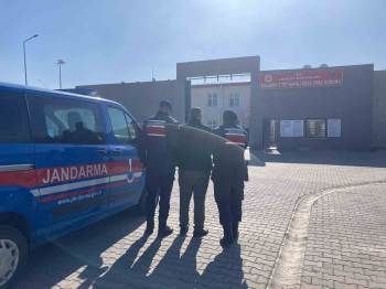 2 Yıl 6 Ay Hapis Cezası İle Aranan Şahsı Jandarma Yakaladı
