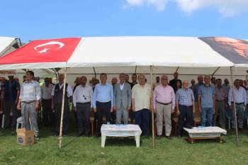 20. Oğulpaşa Köyü Karakucak Güreşleri Ve Yayla Şenlikleri Yapıldı
