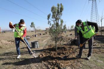 20 Bin Fidan Ve 30 Bin Süs Bitkisi Toprakla Buluştu

