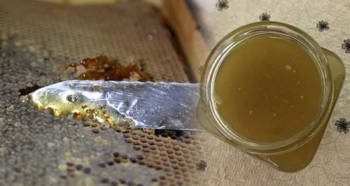 20 bin liraya satılıyor: Daha önce böyle bal görmediniz!	